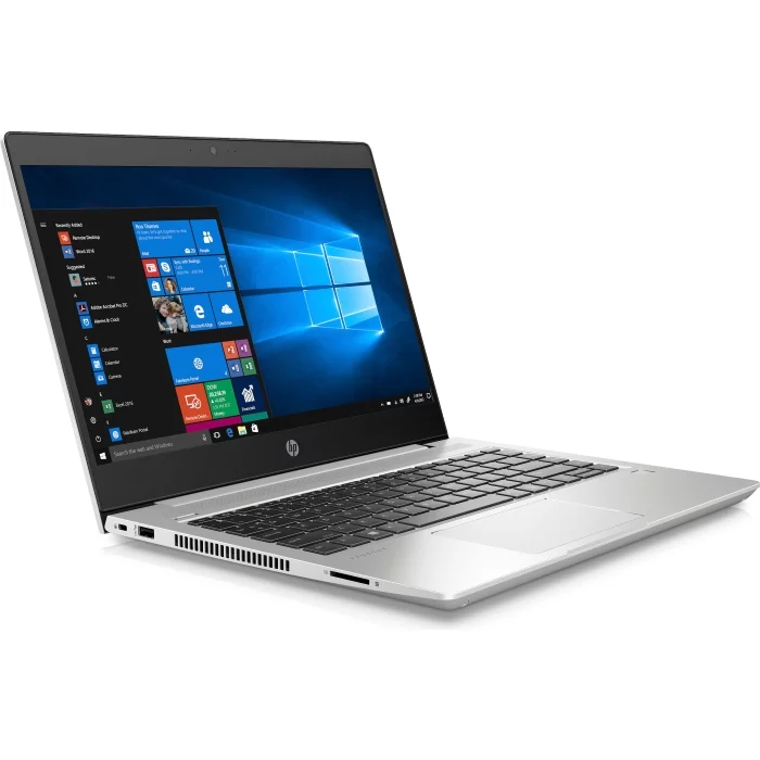 Ноутбук HP ProBook 455 G7 (1F3M6EA)
